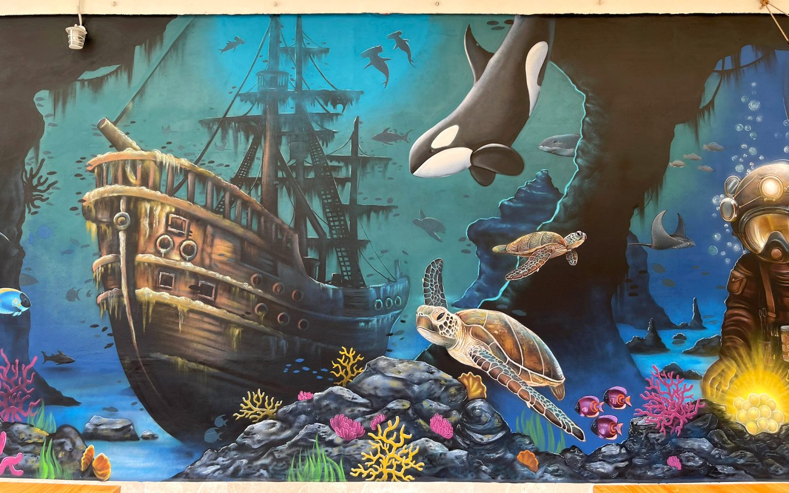 Mural Profesional Fondo Marino